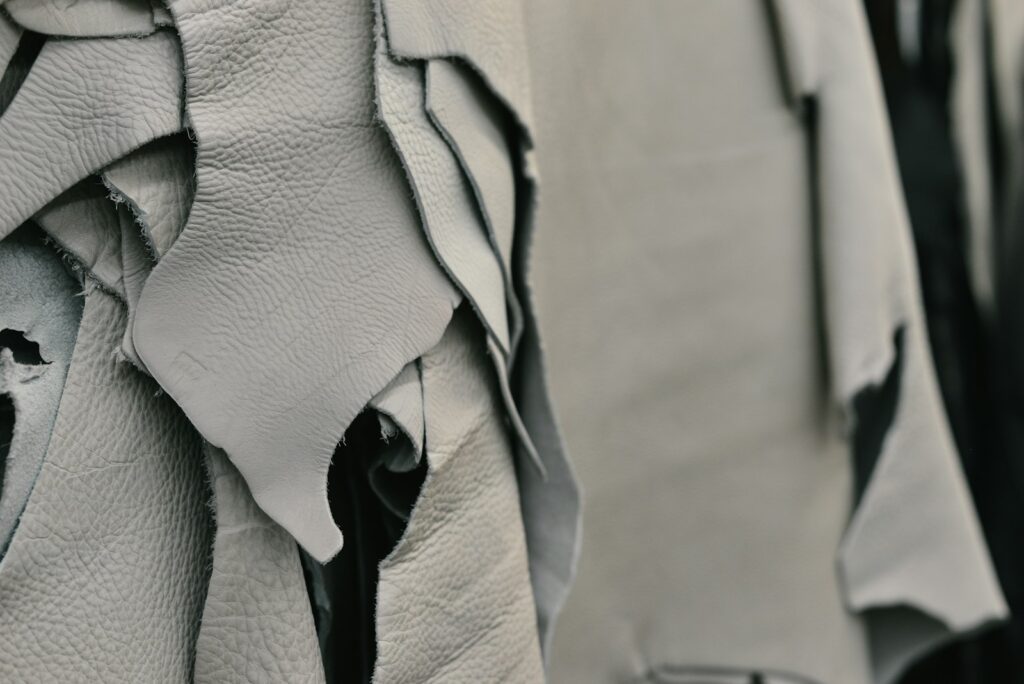 Is Crocodile Leather Sustainable? Farming & Ethics